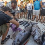 Big Game_Rogoznica_treci dan60